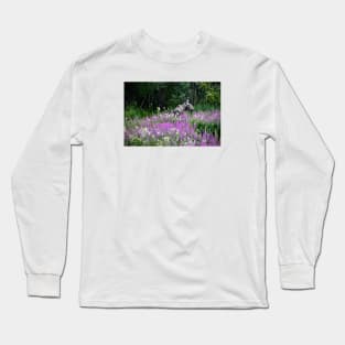 Moose / Swiss Artwork Photography Long Sleeve T-Shirt